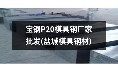 寶鋼P20模具鋼廠家批發(鹽城模具鋼材)