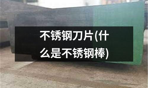 不銹鋼刀片(什么是不銹鋼棒)