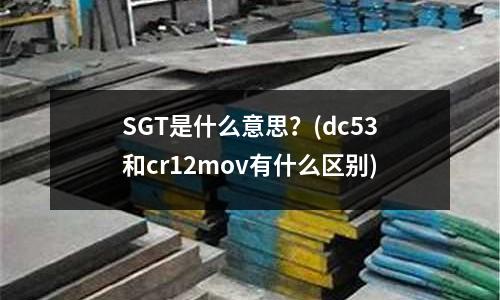 SGT是什么意思?(dc53和cr12mov有什么區別)