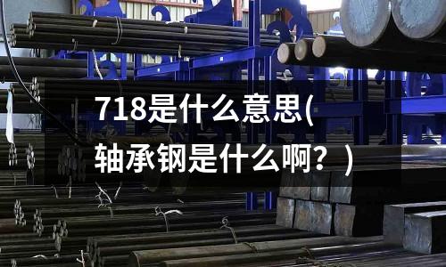 718是什么意思(軸承鋼是什么啊?)