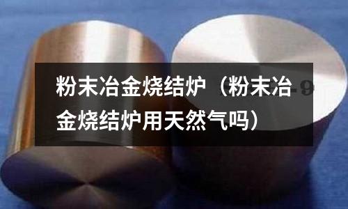 粉末冶金燒結爐（粉末冶金燒結爐用天然氣嗎）