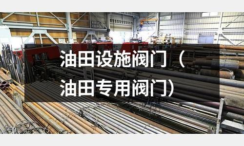 油田設(shè)施閥門(油田專用閥門)