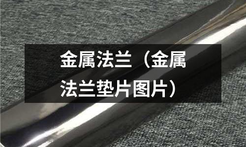 金屬法蘭（金屬法蘭墊片圖片）