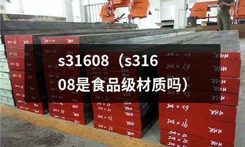 s31608（s31608是食品級材質嗎）