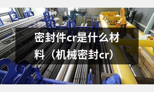 密封件cr是什么材料(機械密封cr)