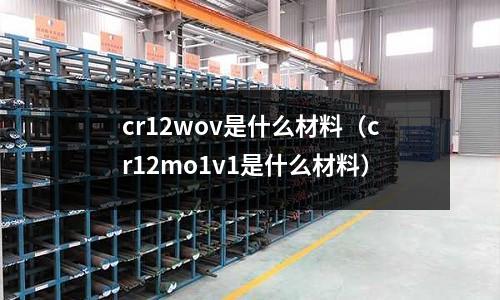 cr12wov是什么材料(cr12mo1v1是什么材料)