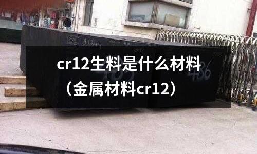 cr12生料是什么材料(金屬材料cr12)