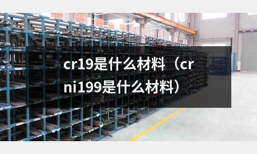cr19是什么材料(crni199是什么材料)