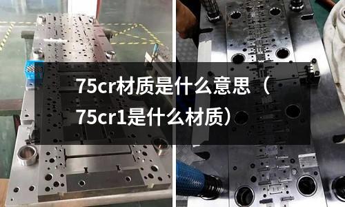 75cr材質是什么意思(75cr1是什么材質)