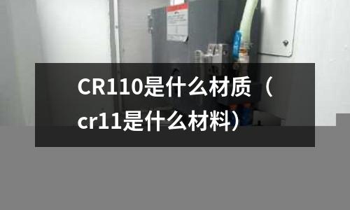 CR110是什么材質(zhì)（cr11是什么材料）