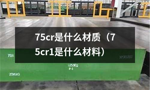 75cr是什么材質（75cr1是什么材料）