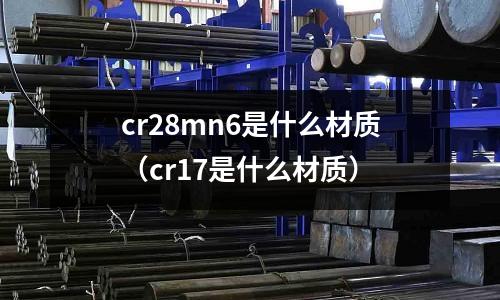 cr28mn6是什么材質（cr17是什么材質）