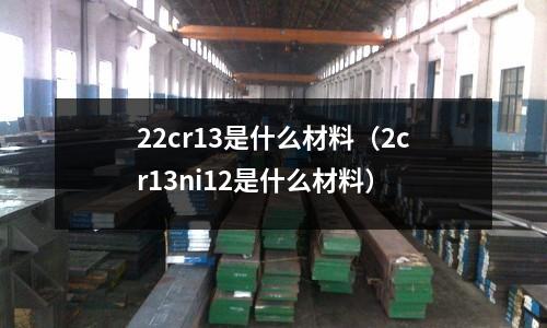 22cr13是什么材料（2cr13ni12是什么材料）