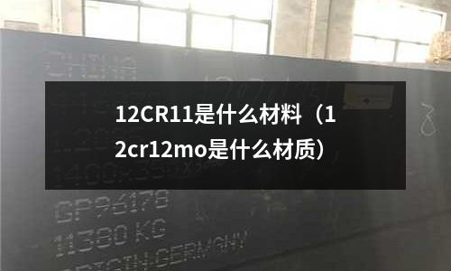 12CR11是什么材料(12cr12mo是什么材質)