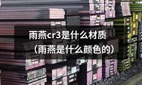 雨燕cr3是什么材質(雨燕是什么顏色的)