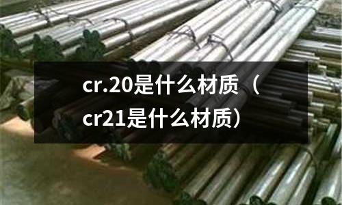cr.20是什么材質(zhì)（cr21是什么材質(zhì)）