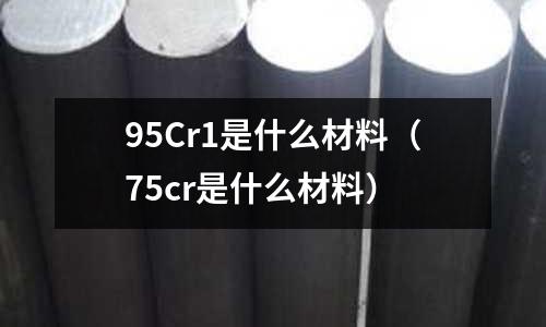 95Cr1是什么材料（75cr是什么材料）