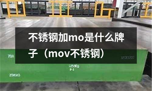 不銹鋼加mo是什么牌子（mov不銹鋼）