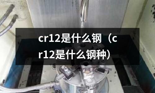 cr12是什么鋼（cr12是什么鋼種）