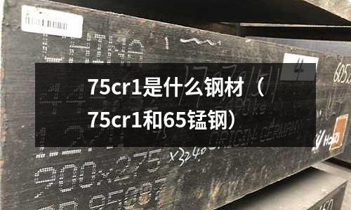 75cr1是什么鋼材（75cr1和65錳鋼）