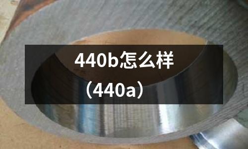 440b怎么樣（440a）