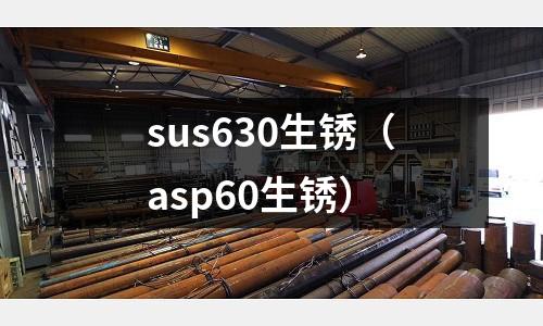 sus630生銹（asp60生銹）