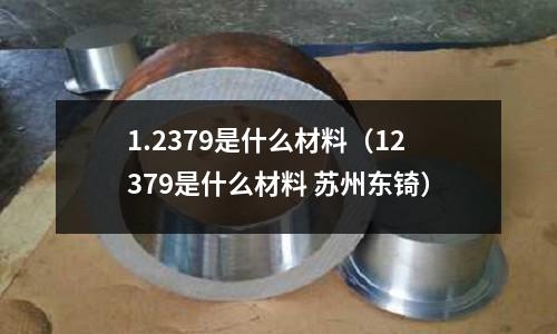 1.2379是什么材料(12379是什么材料 蘇州東锜)