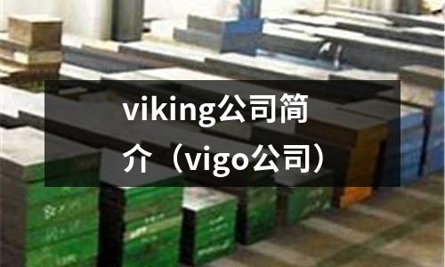 viking公司簡介（vigo公司）