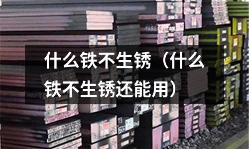 什么鐵不生銹(什么鐵不生銹還能用)