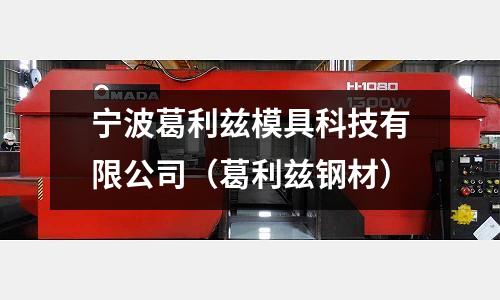 寧波葛利茲模具科技有限公司（葛利茲鋼材）