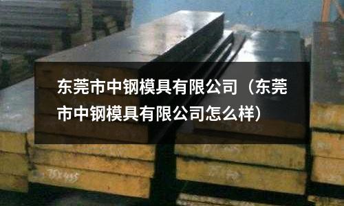 東莞市中鋼模具有限公司(東莞市中鋼模具有限公司怎么樣)