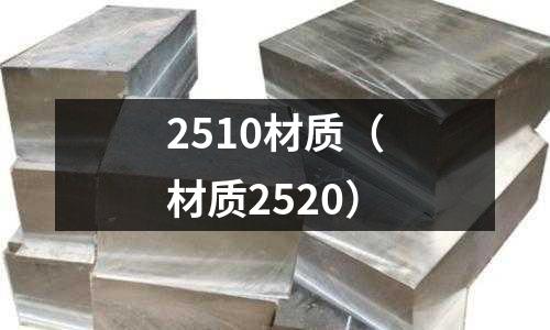 2510材質(材質2520)