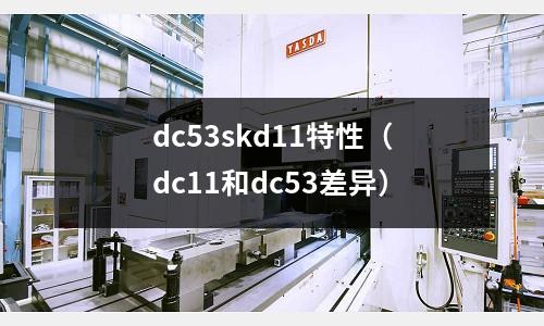 dc53skd11特性（dc11和dc53差異）
