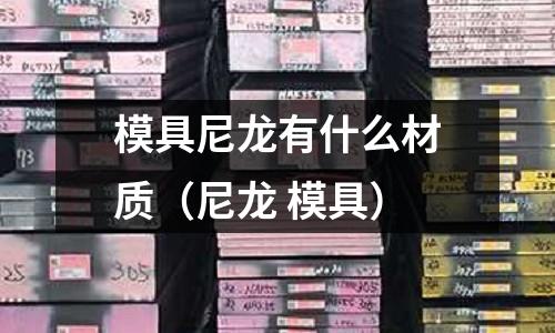 模具尼龍有什么材質(zhì)（尼龍 模具）