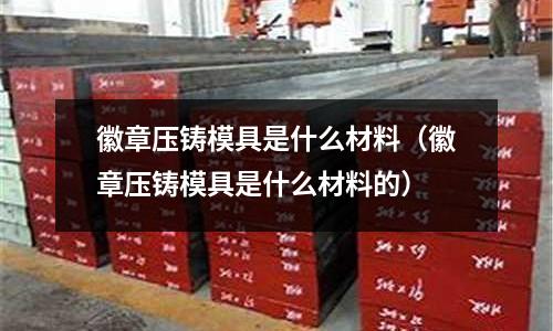 徽章壓鑄模具是什么材料(徽章壓鑄模具是什么材料的)