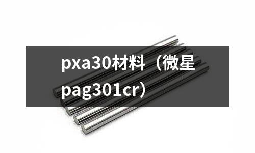 pxa30材料(微星pag301cr)