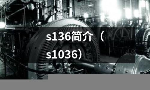 s136簡介(s1036)