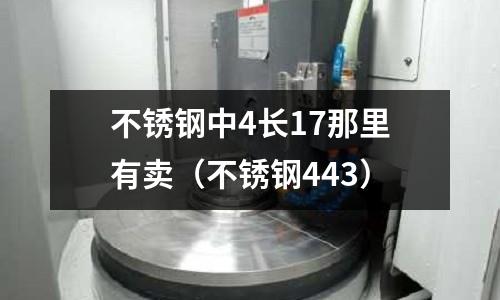 不銹鋼中4長17那里有賣（不銹鋼443）