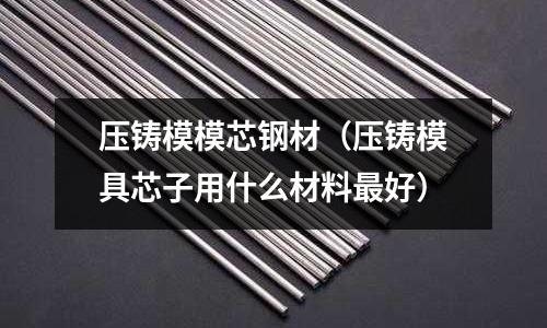 壓鑄模模芯鋼材(壓鑄模具芯子用什么材料最好)
