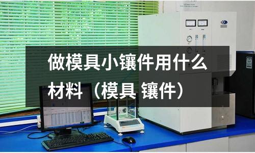做模具小鑲件用什么材料(模具 鑲件)