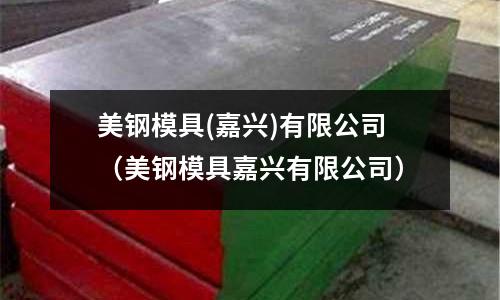 美鋼模具(嘉興)有限公司（美鋼模具嘉興有限公司）