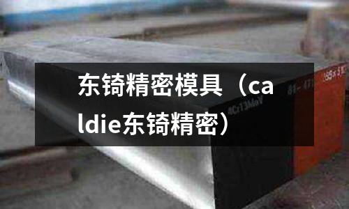 東锜精密模具（caldie東锜精密）