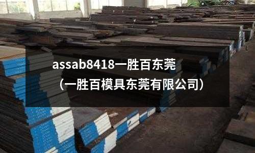 assab8418一勝百東莞（一勝百模具東莞有限公司）