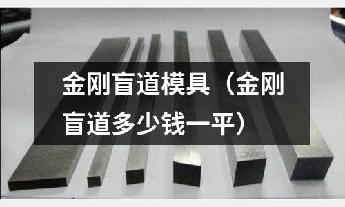 金剛盲道模具(金剛盲道多少錢一平)