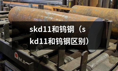 skd11和鎢鋼（skd11和鎢鋼區別）