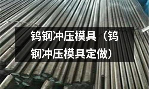 鎢鋼沖壓模具（鎢鋼沖壓模具定做）