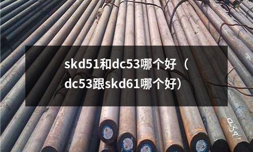skd51和dc53哪個好（dc53跟skd61哪個好）