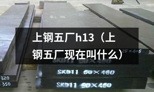 上鋼五廠h13(上鋼五廠現在叫什么)