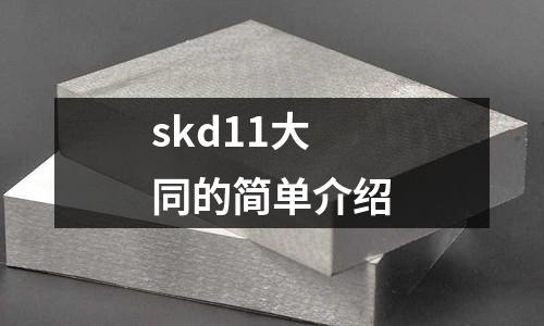 skd11大同的簡單介紹
