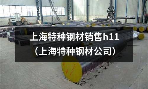 上海特種鋼材銷(xiāo)售h11（上海特種鋼材公司）